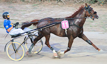 Cannonball (FR)
