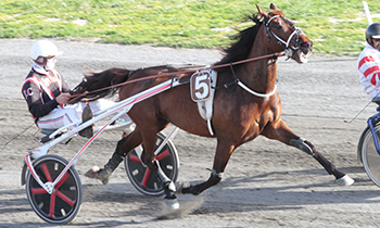 Triomphe Ferm