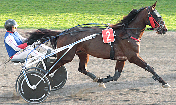 Fast Loulou