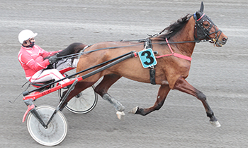 Club Nord Easy