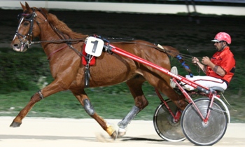 Kit de la Vallee
