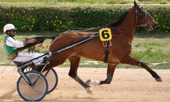 King de Beaulieu