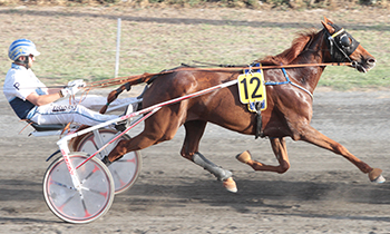 Goldwyn du Bocage