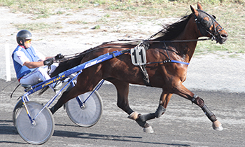 Elegant de Magny