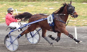 Eclat d'Orval