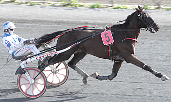 Caprice de Cosse