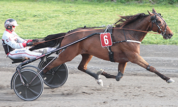 Diablo d'Herfraie