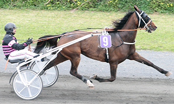 Epona du Buis
