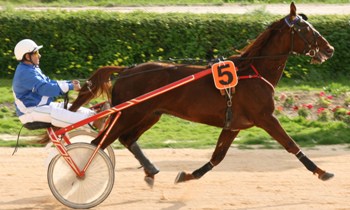 Kalou du Pommereux