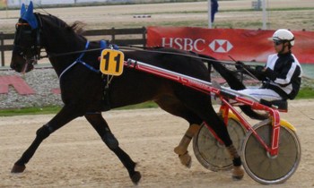 Horse d'Or