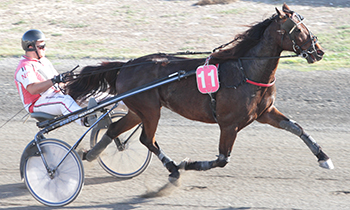 Derby Speed