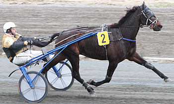 Deede Star