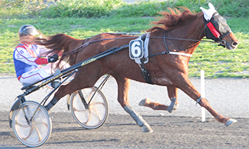 Epsom de Goupillel