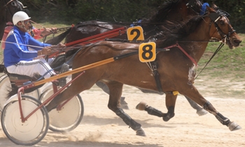 Illustre Tresor