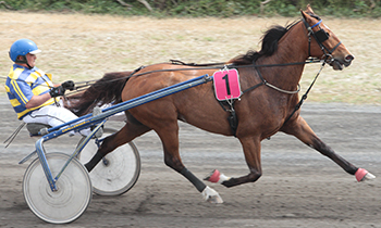 Gordon Quick