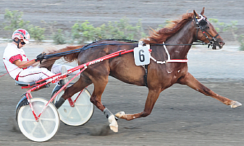 Filou Star