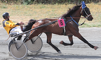 Enzo Dhelpa