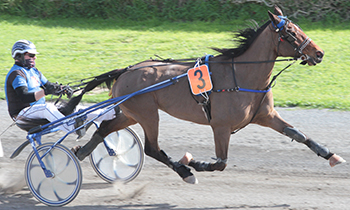 Expert d'Erpion