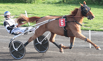 Douxor de Guez