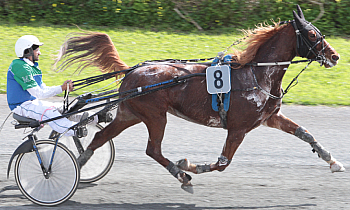 Helice du Parc