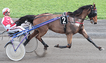 Express du Gers