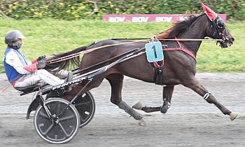 Imola Boko