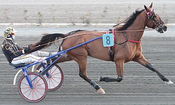 Ingesson