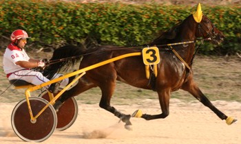 G.R.Goldstar