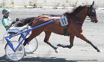 Goelo du Pilet