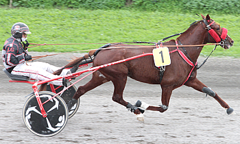 Frank Valsan