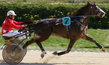 Jarret de Bouere