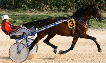Ilos Tuilerie