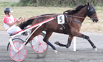 Ikko des Racques