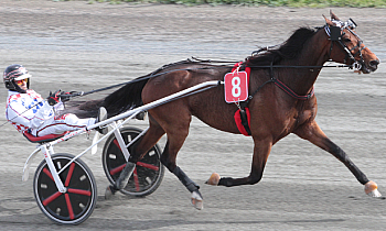 Dats So Cool