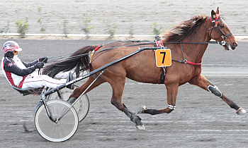 Junon de Beylev