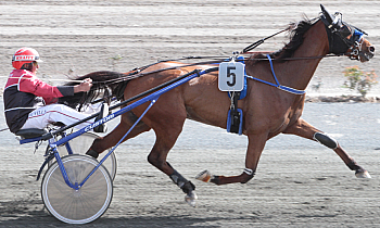 Kingston Sautreuil
