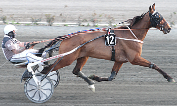 Impact Sur Laterre