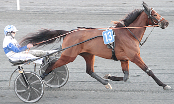 Helia de Bruyere