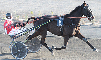Filou de Larre