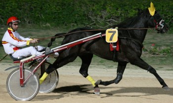 Mackarena Goj