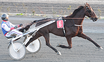 Falko de Nouville