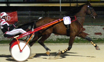 Ilio Mannetot