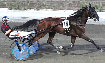 Kalypso Sisu