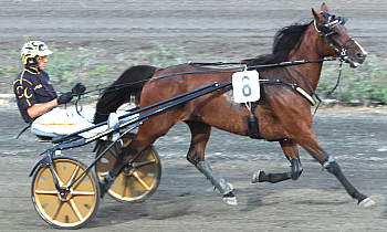 Indiana Buroise