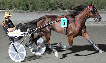 Genievre