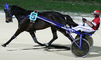 Maestro Starline