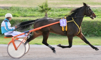 Pondus Sund