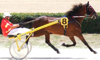 Ideal Spur