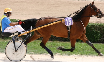 Grelot Normand