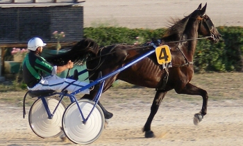 Jupiterfinn